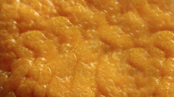 Close-up of the textured surface of an orange peel