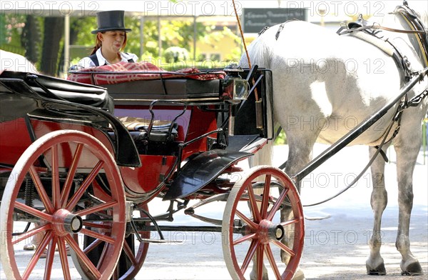 Carriage with coachwoman in the English Garden of Munich