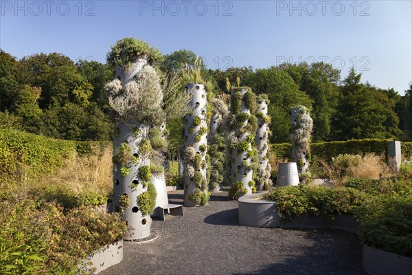Columnar architecture in the Rose Park Oschatz Columnar architecture in the Rose Park Oschatz for