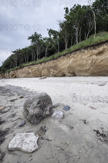 Steep coast, Poel Island, Mecklenburg-Western Pomerania, Germany, Europe