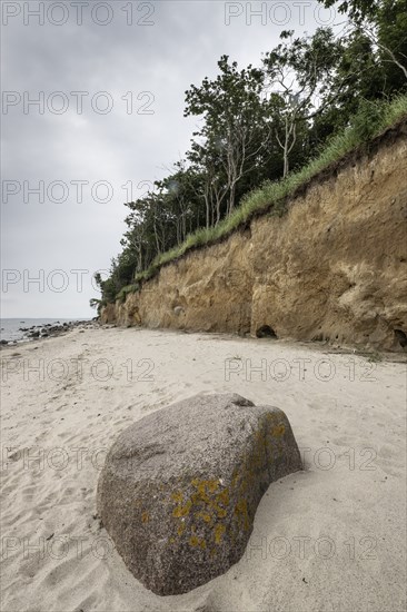 Steep coast, Poel Island, Mecklenburg-Western Pomerania, Germany, Europe