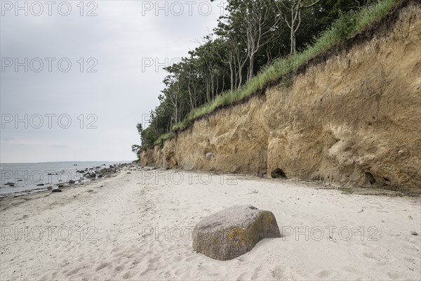 Steep coast, Poel Island, Mecklenburg-Western Pomerania, Germany, Europe