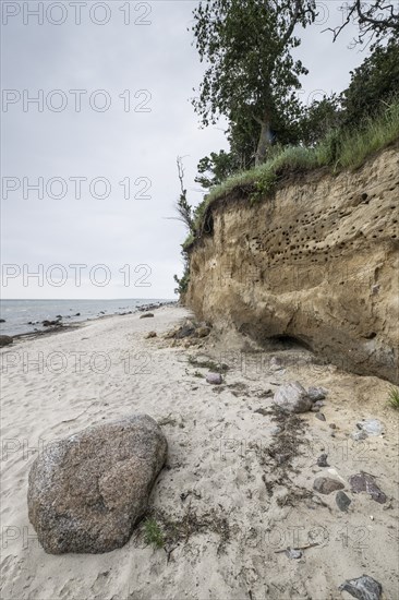 Steep coast, Poel Island, Mecklenburg-Western Pomerania, Germany, Europe