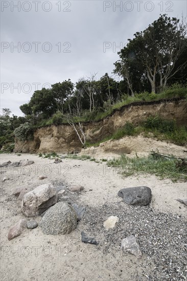 Steep coast, Poel Island, Mecklenburg-Western Pomerania, Germany, Europe