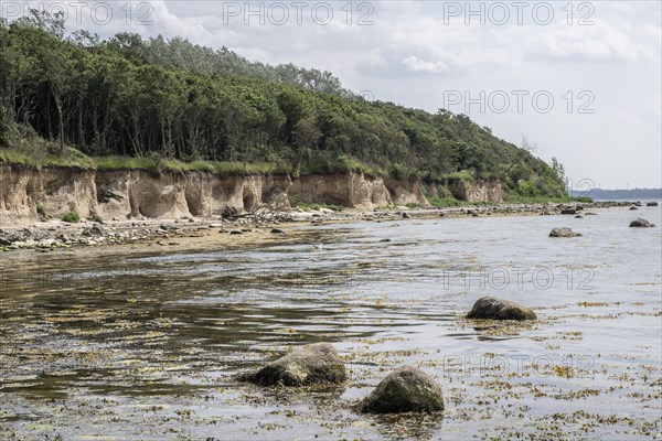 Steep coast, Poel Island, Mecklenburg-Western Pomerania, Germany, Europe