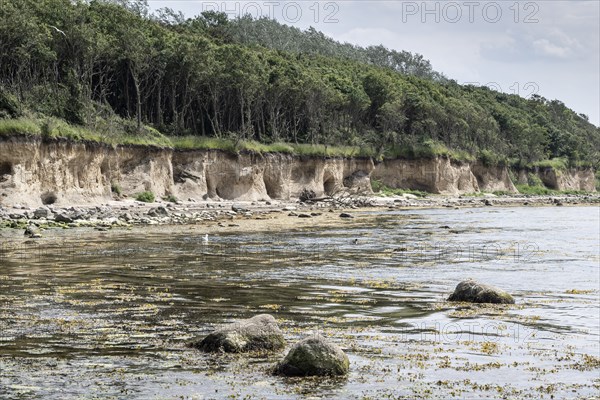Steep coast, Poel Island, Mecklenburg-Western Pomerania, Germany, Europe