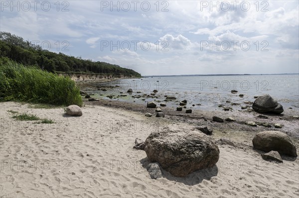 Steep coast, Poel Island, Mecklenburg-Western Pomerania, Germany, Europe