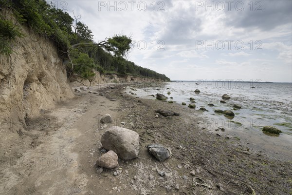 Steep coast, Poel Island, Mecklenburg-Western Pomerania, Germany, Europe