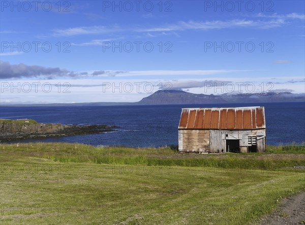 Coast with house in Iceland near Bakkafjordur