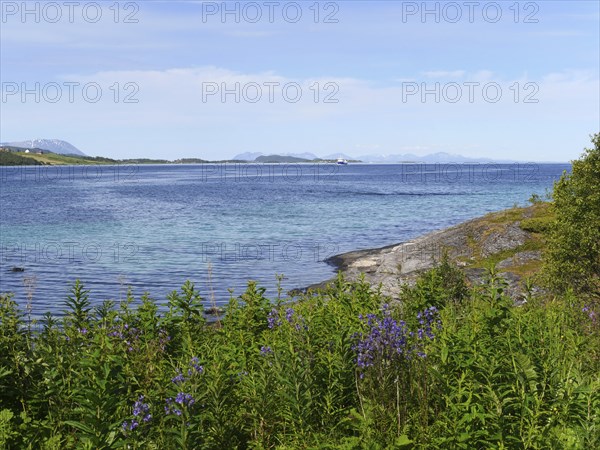 From Wikipedia:Tjeldsundet is a strait or sound in Northern Norway. Tjeldsundet (Norwegian: