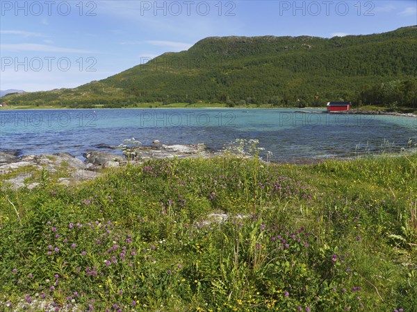 Tjeldsund Northern Norway