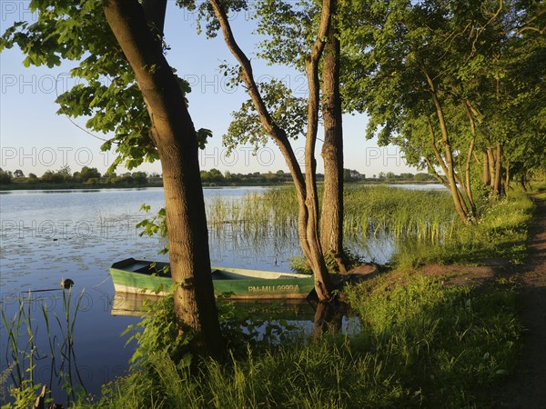 Green boat on the Nogat near Marienburg in Poland
