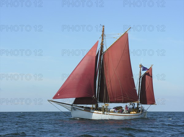 Sailboat