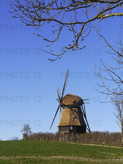 Windmill