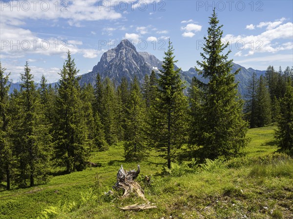 Mountain peaks and alpine landscape, Rottenmanner Tauern, Styria, Austria, Europe