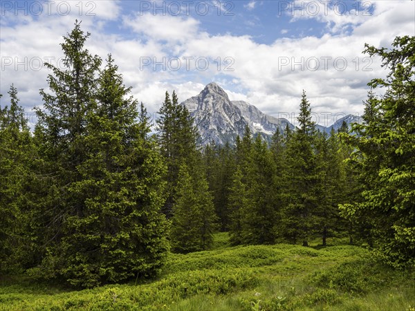Mountain peaks and alpine landscape, Rottenmanner Tauern, Styria, Austria, Europe
