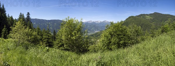 Paltental valley, mountain peak in the background, panoramic view, Rottenmanner Tauern, Styria,