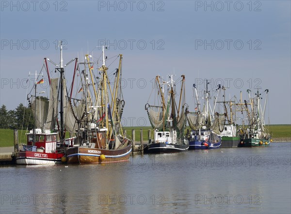 Shrimp cutter in Greetsiel, german shrimper