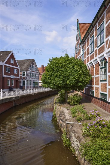 Ditch Jorker Hauptwettern and Norway maple (Acer platanoides) in front of the town hall in Jork,