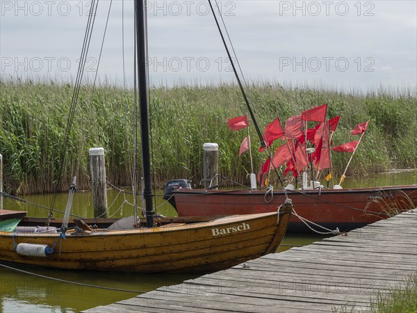 Two wooden boats with red sails are moored on a wooden jetty in the water, surrounded by thick