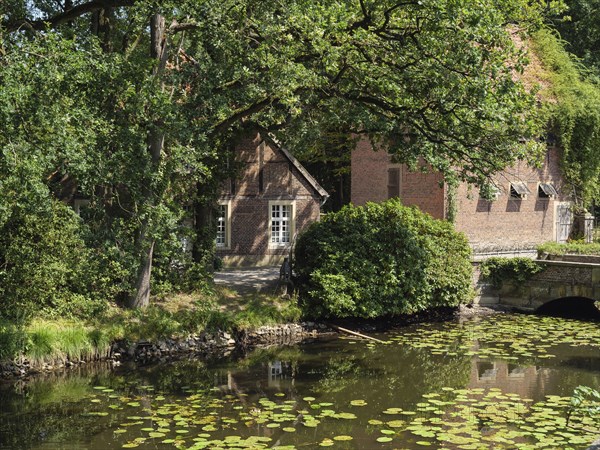 Rural scene with a pond full of water lilies, surrounded by brick buildings and green trees,
