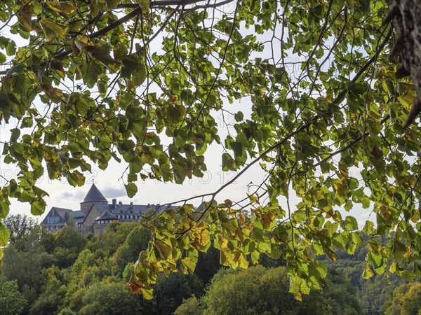 A castle behind autumnal tree leaves with a forest in the background, Waldeck, Hesse, Germany,