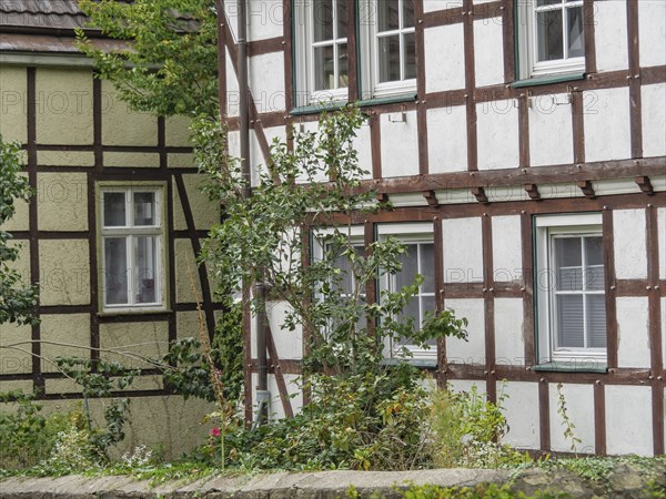 Traditional half-timbered houses with white and brown stripes and dense vegetation and shrubs,