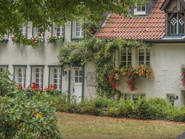 A charming half-timbered house with ivy and blooming flowers, surrounded by a green garden, Werl,