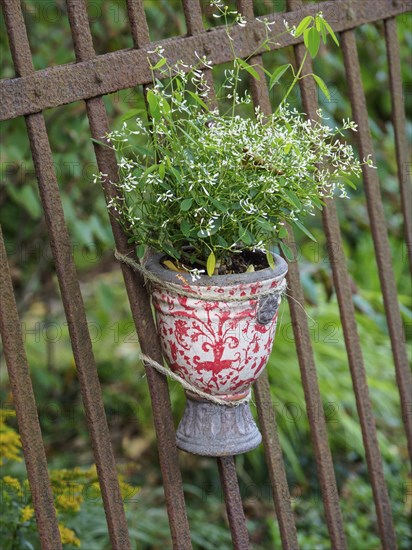 A flower pot with flowers hangs on an iron fence in the garden, surrounded by green landscape,