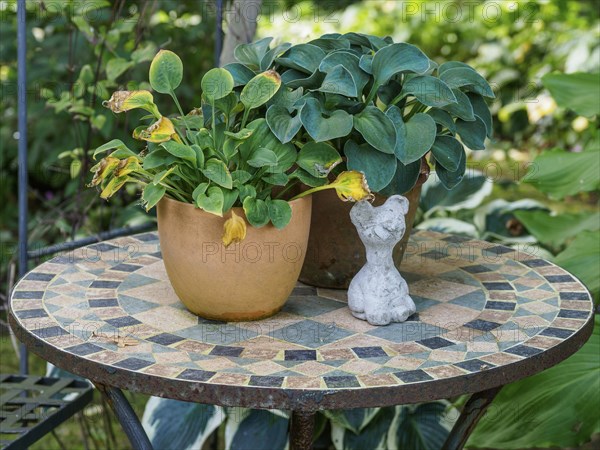 Mosaic table with two flower pots and a small cat figurine in the garden, SChermbeck North