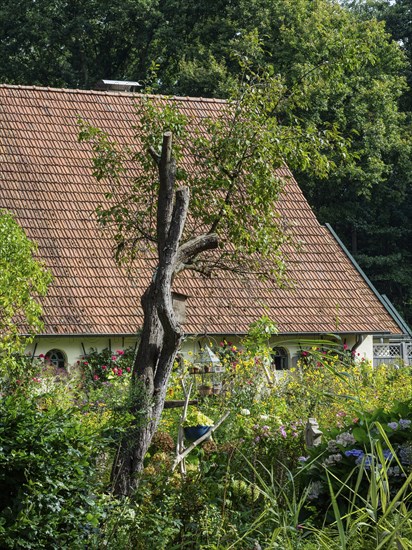 A small house with a red tiled roof and a lush garden full of flowers and trees that radiates a