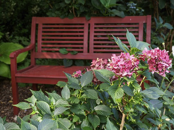 Red garden bench in front of flowering plants and green garden background, SChermbeck North