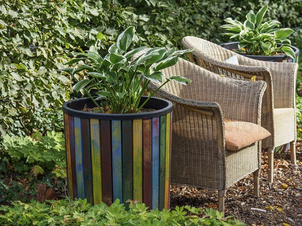 Large colourful flower pot with plants, next to it two rattan chairs in a green garden, SChermbeck