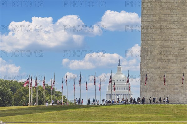 American flags at sunny day and Capitol Building in background