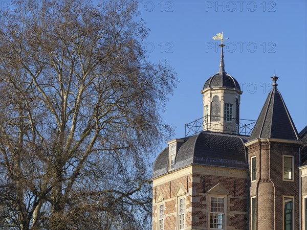 Detail of a castle with weather vane and tree silhouette, clear sky and historical architecture,