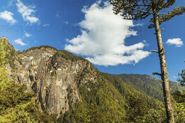 View of Taktshang Monastery on the mountain in Paro