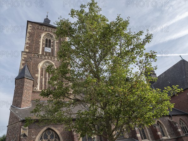 Old red brick church with high steeple, partly covered by a green tree, under a blue sky, ramsdorf,