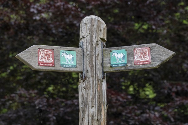 Signpost, Geltinger Birk, Geltinger Bucht, Nieby, Schleswig-Holstein, Germany, Europe
