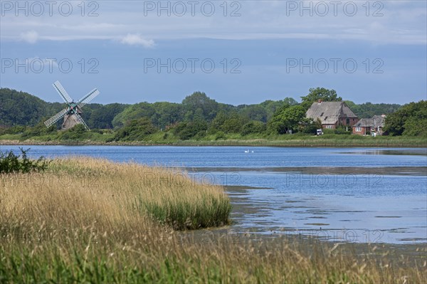 Charlotte windmill, sea, Baltic Sea, Geltinger Birk, Geltinger Bucht, Nieby, Schleswig-Holstein,