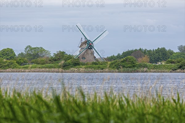 Charlotte windmill, sea, Baltic Sea, Geltinger Birk, Geltinger Bucht, Nieby, Schleswig-Holstein,