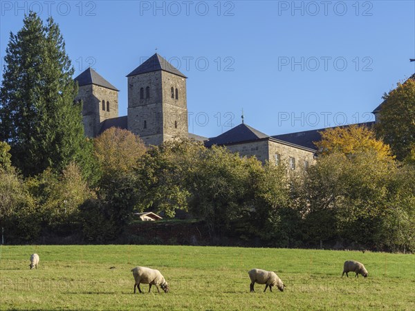 Castle on a hill surrounded by meadows, trees and grazing sheep in the sunshine, nottuln,
