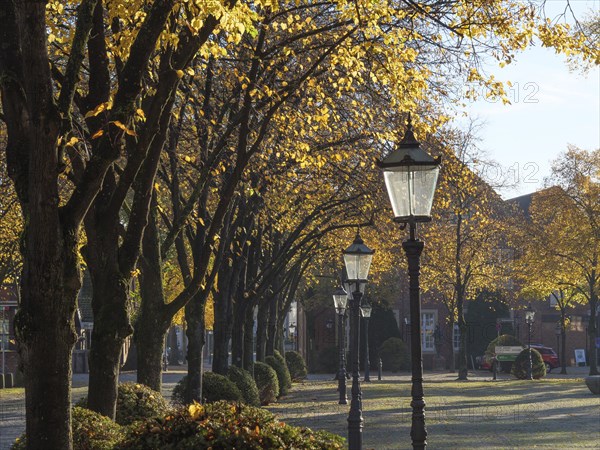 Pavement with lanterns lined by trees with yellow autumn leaves under a sunny sky, nottuln,