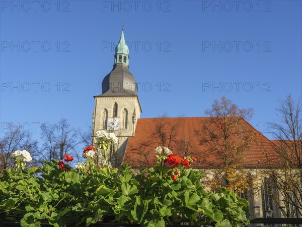 Church tower and blooming flowers, autumn leaves and blue sky, peaceful atmosphere, nottuln,