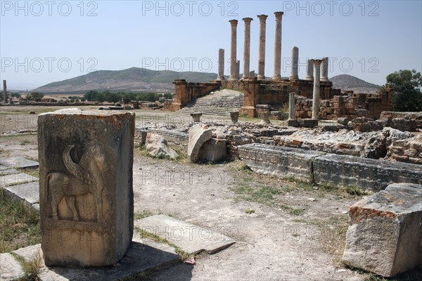 A few of the remaining pillars which once builded the Capitol