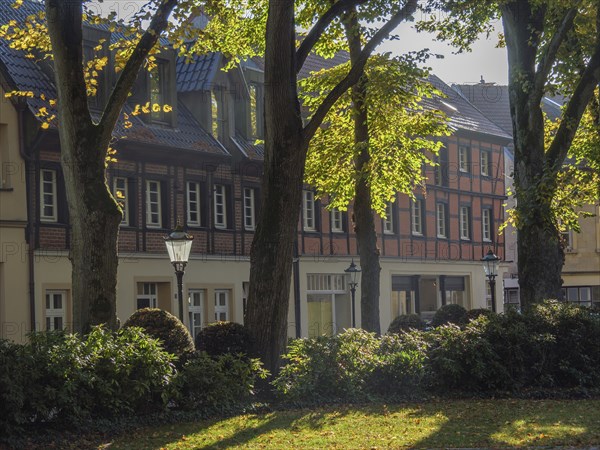 Historic half-timbered houses embellished with autumnal gardens and trees bathed in sunlight,