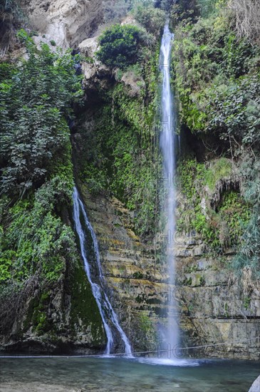 The national park Ein Gedi, Israel, Asia