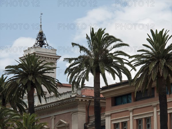 A historic building with a tower and palm trees in front of it under a slightly cloudy sky,
