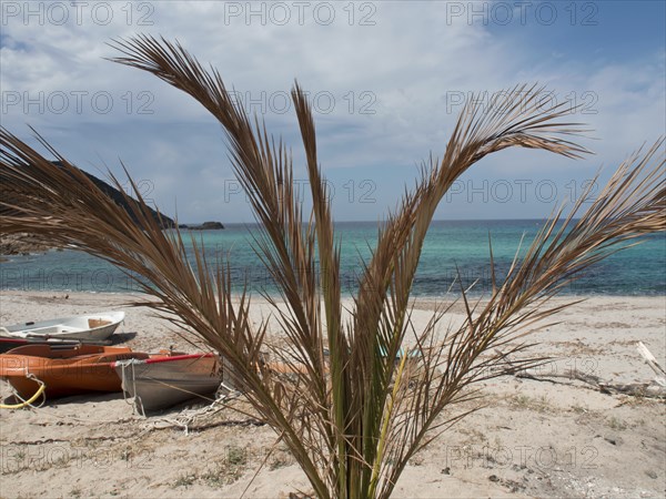 A palm tree rises on the sandy beach next to several boats with the turquoise blue sea in the