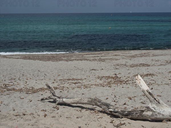 A sandy beach with a piece of driftwood and clear, turquoise-coloured sea under a cloudy sky,
