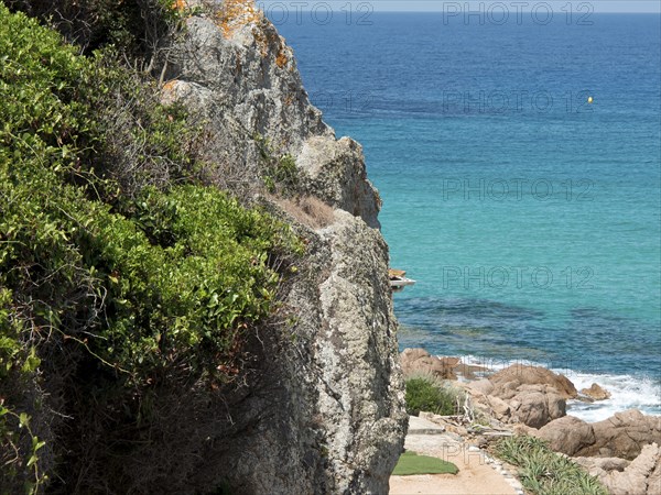 Rocks near a clear ocean with dense vegetation and blue water, ajaccio, corsica, france